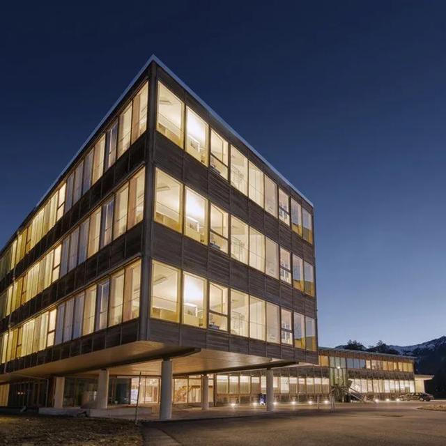 Gallery image 4